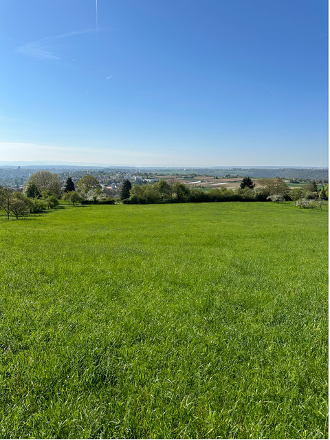 Esslingen am Neckar Bauernhöfe, Landwirtschaft, Esslingen am Neckar Forstwirtschaft