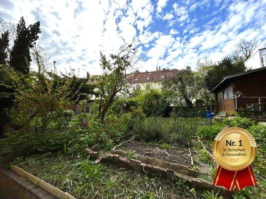 Gemeinschaftsgarten 