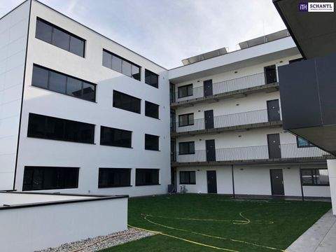 Seiersberg Wohnungen, Seiersberg Wohnung kaufen