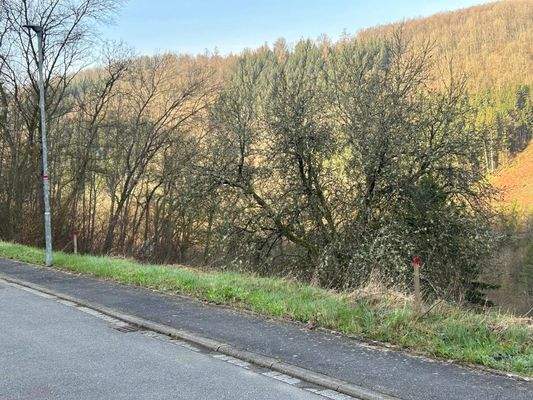 4b7abc9d-f29d-4ed7-92f6-ca1dad651533