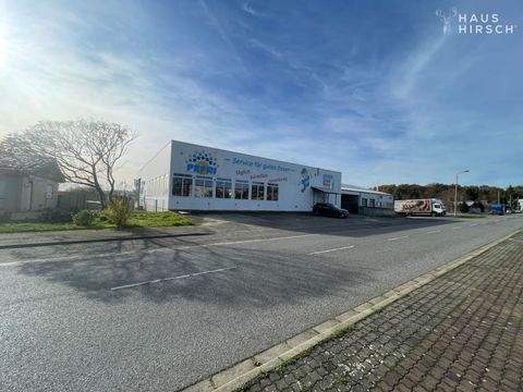 Markersdorf Halle, Markersdorf Hallenfläche