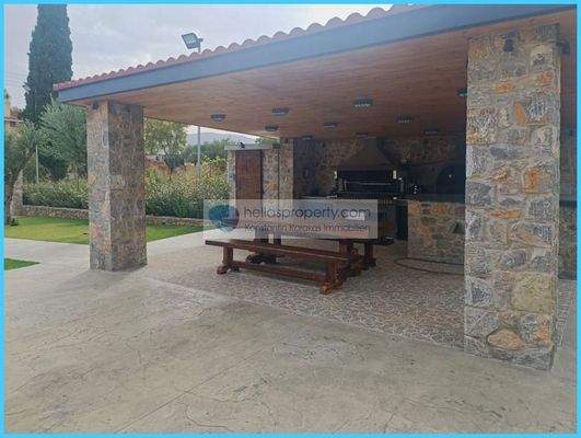 47018e9420dc48e4a861ef30286023b2-original