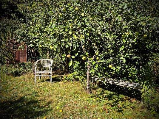 Fazit: das Haus ist ein Raumwunder für die ganze Familie mit wunderschönem Garten in  Top-Lage!