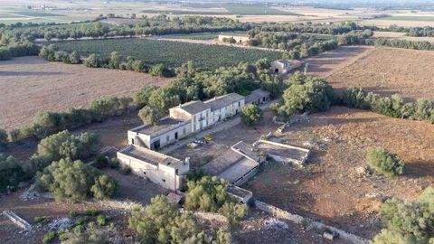 Vilafranca de Bonany Häuser, Vilafranca de Bonany Haus kaufen