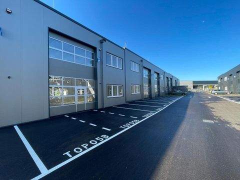 Regau Halle, Regau Hallenfläche