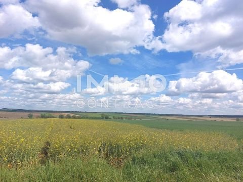 Neusiedl bei Güssing Grundstücke, Neusiedl bei Güssing Grundstück kaufen