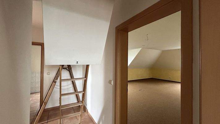 Dachluckenklappe hinteres Haus