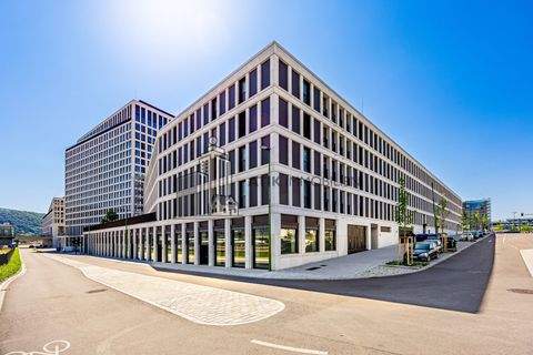 Heidelberg Ladenlokale, Ladenflächen 