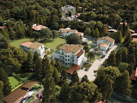 Trieste Wohnungen, Trieste Wohnung kaufen