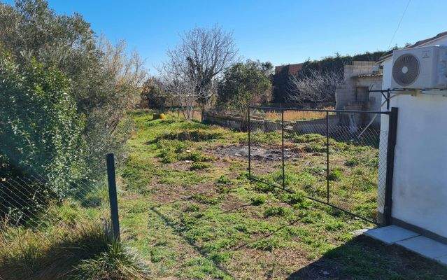 WhatsApp Image 2025-02-12 at 17.32.07 (4).jpeg