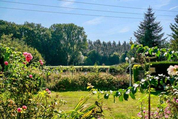 Blick in die Ferne.JPG