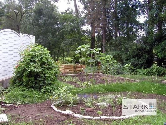 Garten 2.jpg