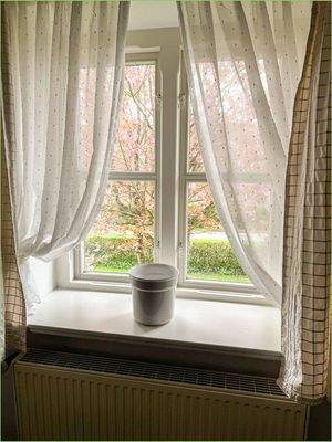 Blick in den Vorgarten