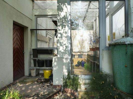 Außenzugang Waschküche und Gewächshaus