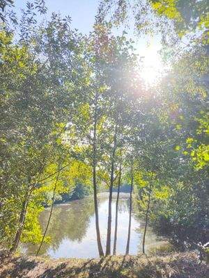 Teich nahe dem Wohnhaus