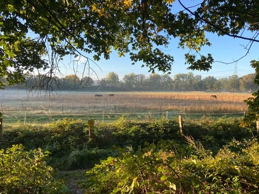 Villen-Grundstück am Wittmoor