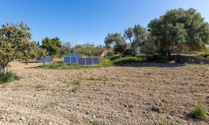 Finca zum Ausbau zwischen Santa Maria und Alaró zu verkaufen, Mallorca