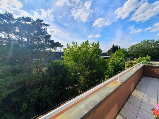 Blick ins Grüne Dachterrasse