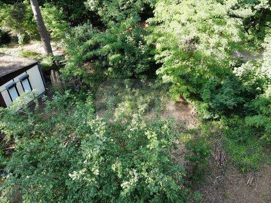 Wochenendgrundstück am Kleinen Müggelsee