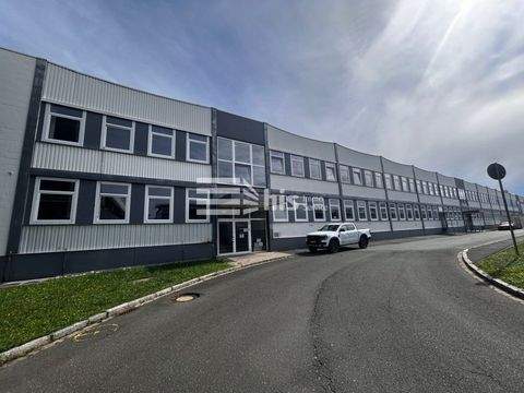 Nürnberg Büros, Büroräume, Büroflächen 