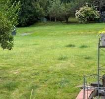 48d1233b-3cb7-4258-a60e-e6ea9f206792-1935312305.jp