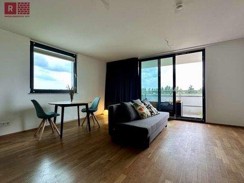 Frankfurt am Main Wohnungen, Frankfurt am Main Wohnung mieten
