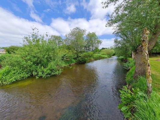 Idylle pur an der Treene