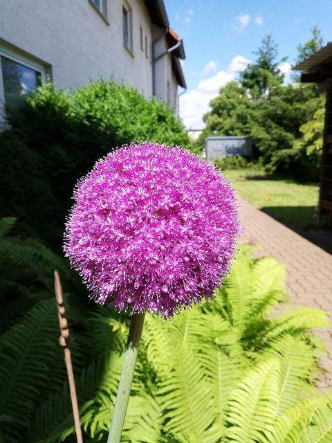 Wolfenbüttel Büros, Büroräume, Büroflächen 