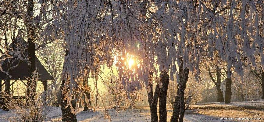 Bad Griesbach im Rottal - ICC - Immobilien Competence Center