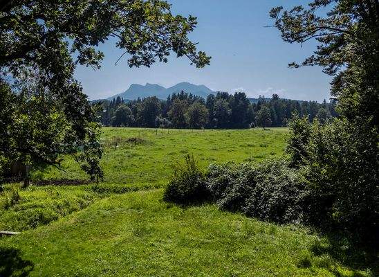 Ausblick auf die Chiemgauer Alpen.jpg