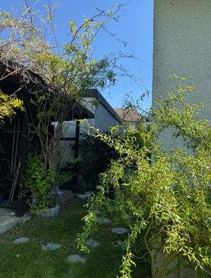 Blick aufs Gartenhaus