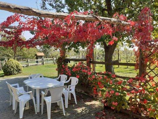 429629070_1155024192327870_9111723564375644241_n.j