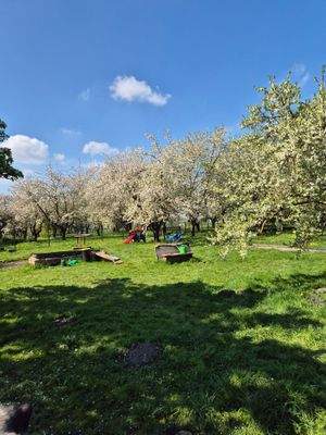 Riesiger wunderschöner Familiengarten