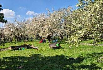 Riesiger wunderschöner Familiengarten
