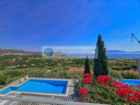 68c77ec12d9c4fb88b32ef8bceb4b185-original