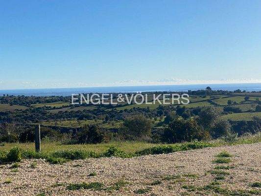 WhatsApp Image 2025-04-13 at 11.00.22 (1).jpg