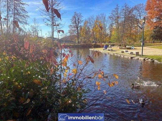 Direktangrenzender Park