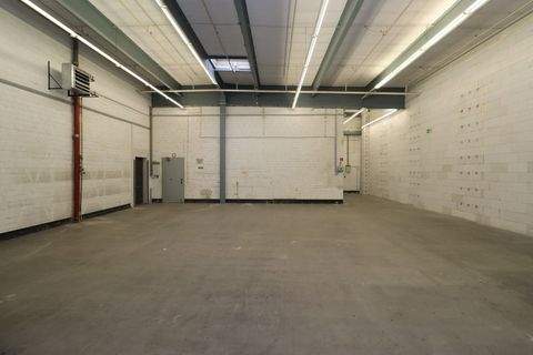 Köln Halle, Köln Hallenfläche