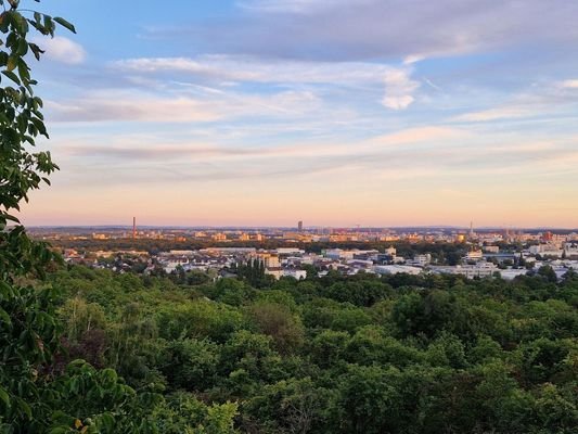 Fernblick von der Terrasse