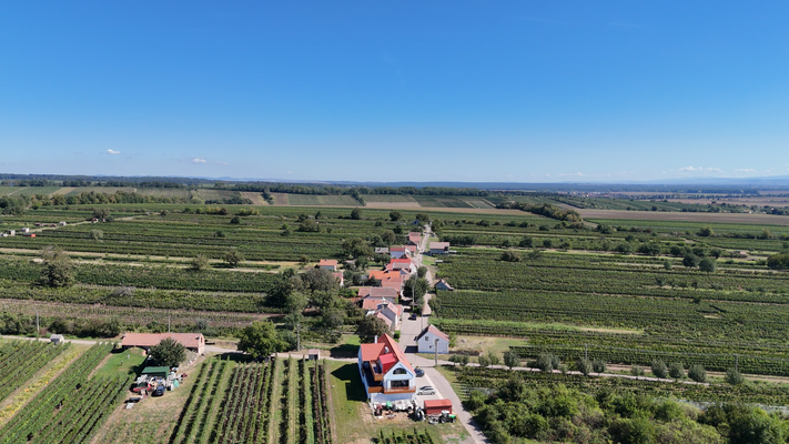 Snímek obrazovky 2025-11-06 151028.png