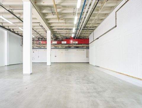 Heidenheim Halle, Heidenheim Hallenfläche