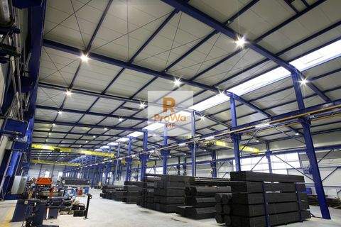 Schwäbisch Hall Halle, Schwäbisch Hall Hallenfläche