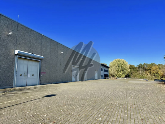 INFOS UNTER: 06171-586000