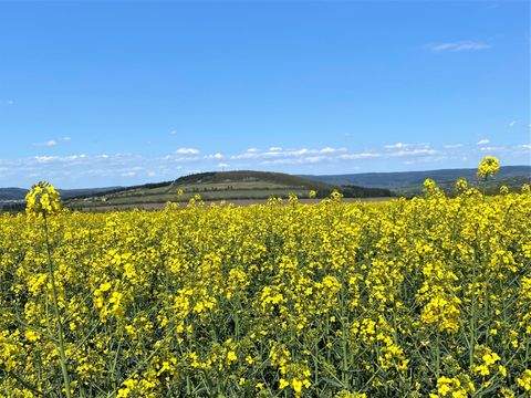 Neidenbach Grundstücke, Neidenbach Grundstück kaufen