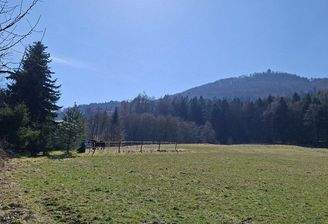 Blick auf die Lausche