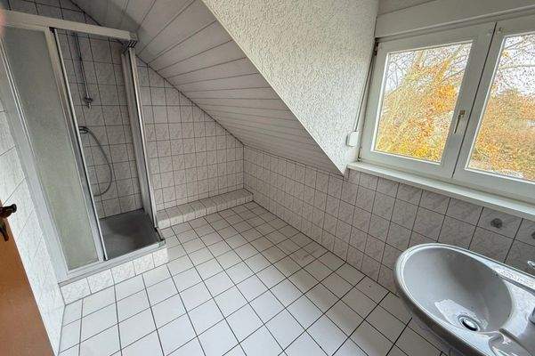 Tageslicht Duschbad DG