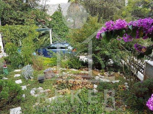 Der herrliche Garten ist voller blühender mediterraner Pflanzen.