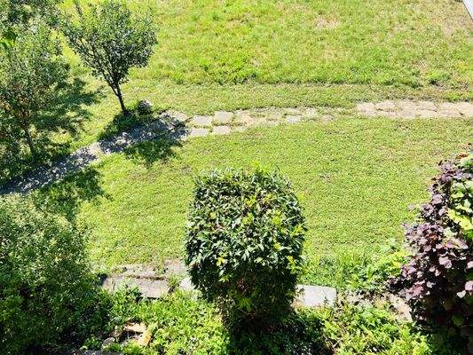 Blick in den Garten