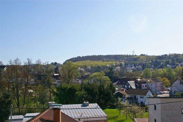 Aussicht vom Balkon DG
