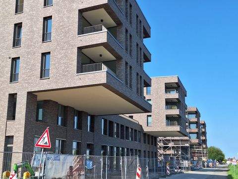 Greifswald Ladenlokale, Ladenflächen 